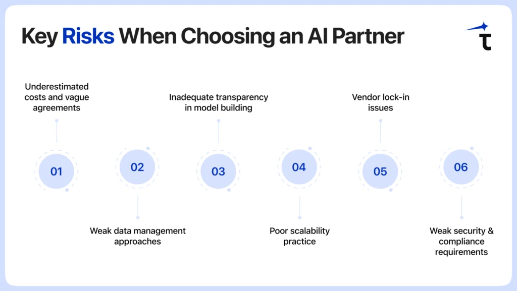 Key Risks When Choosing an AI Partner